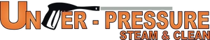 grandrapidspressurewashing.com