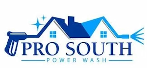 prosouthclean.com